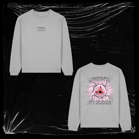 ITSDELICIOUS CREWNECK GREY